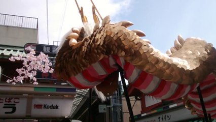 The Golden Dragon Dance of Senso-Ji