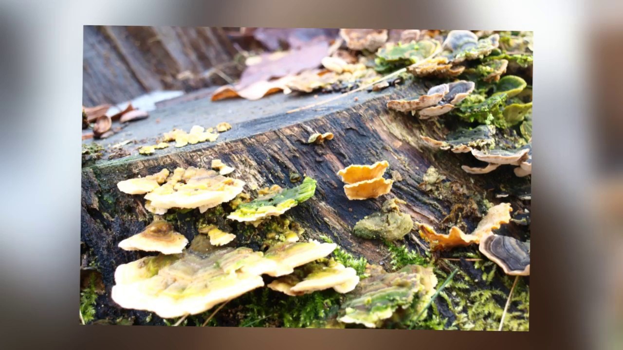 Co pozostanie po TOBIE?