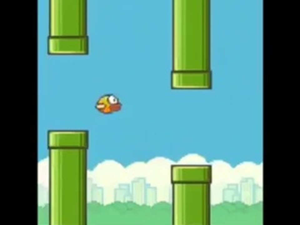 Funny flappy bird !!!
