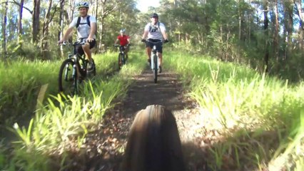 23-03-2014 Rocky Creek, Pete's Mountain and Minyon Falls loop with the boys