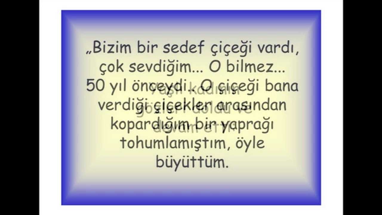 SEDEF ÇİÇEĞİ (HİKAYE)