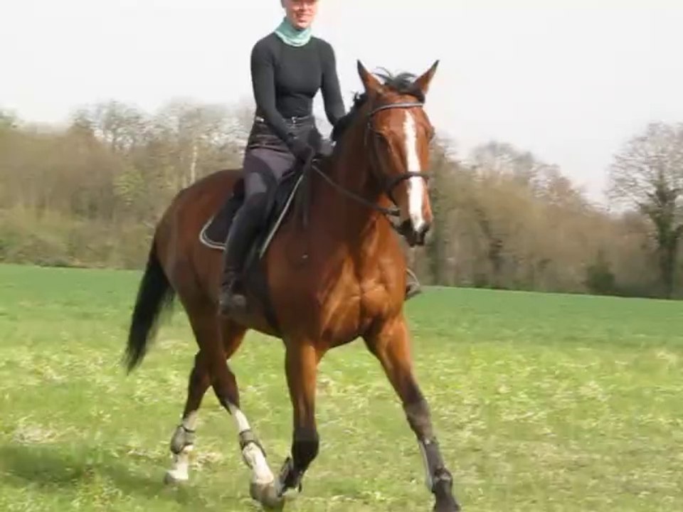 14-03-30 - Galop à Chambly :D !