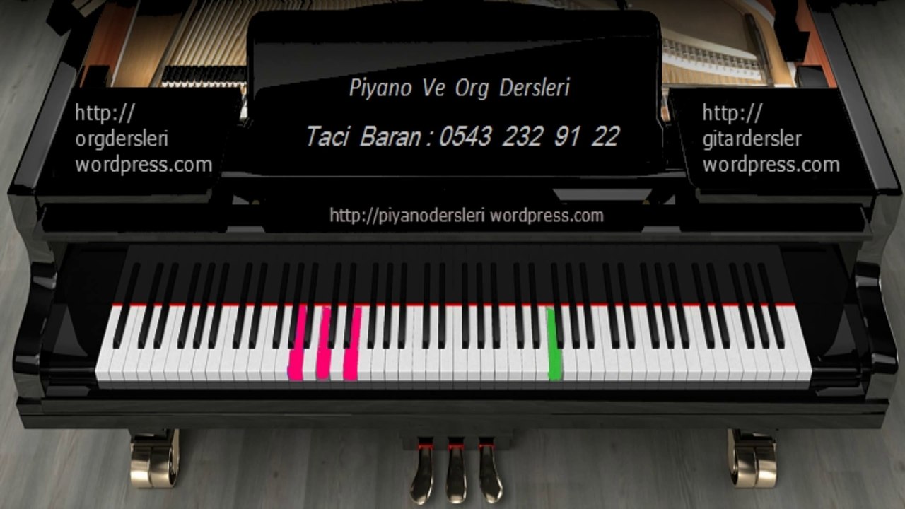 ORG DERSİ : Portofino - Taci Hoca - 0543 232 91 22