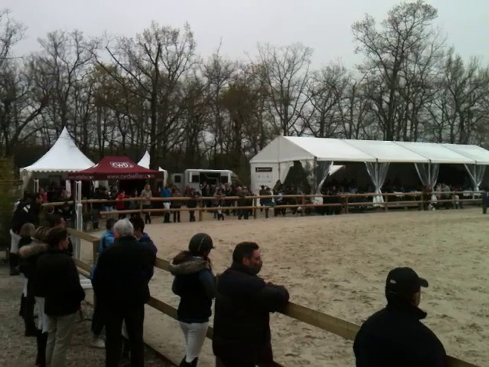 Société Hippique de Blanquefort concours de saut d'obstacles national 2