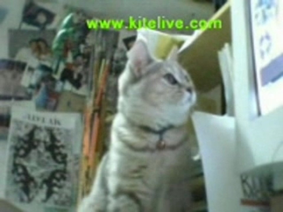 Lulù