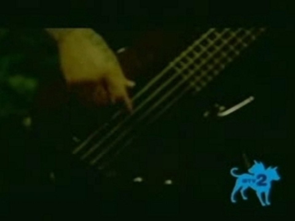 bury your dead-house of straw