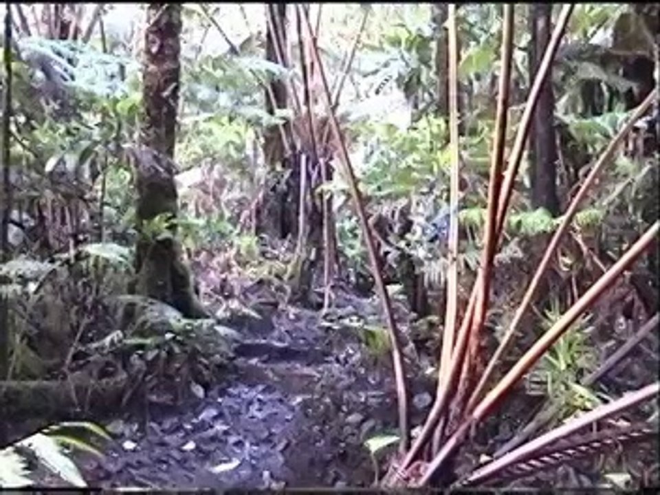 Présentation association Djulé, 12 carnets de voyage vidéo