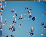 Ubuntu - Wine ile kurulmuş programların dosyalarını bulma !