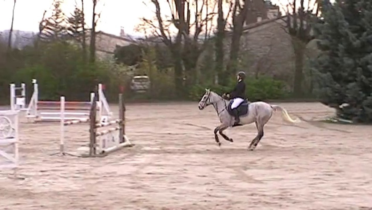 CSO Crest le 30.03.2014 - Milou et Tanis - Prépa 95cm