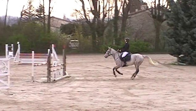 CSO Crest le 30.03.2014 - Milou et Tanis - Prépa 95cm
