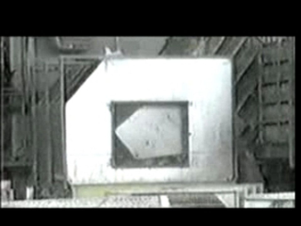 Antimaniax video - watch and be vegan by