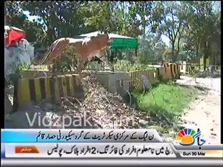 Terror threat Security high-alert on PML-N secretariat