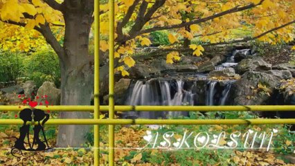 Ferdi Tayfur - Bilemezsin Sen