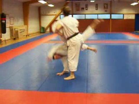 tai jitsu ,randori