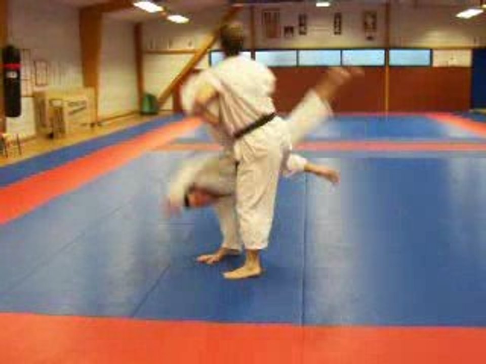 tai jitsu ,randori
