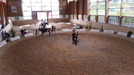 Voltige La SHA championne départementale