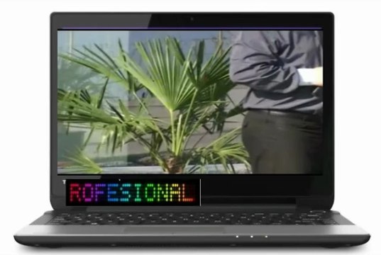 Nelu Miron Ciprian Balan-Am iubit la viata mea