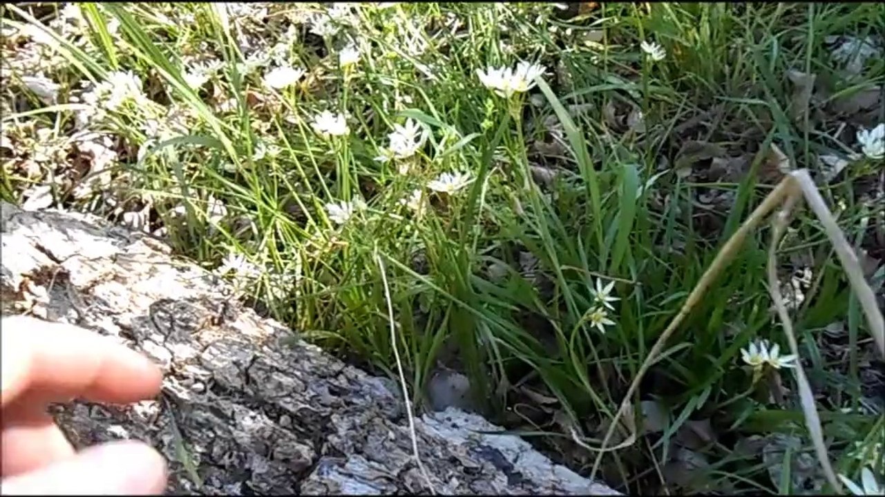 Soil Creation