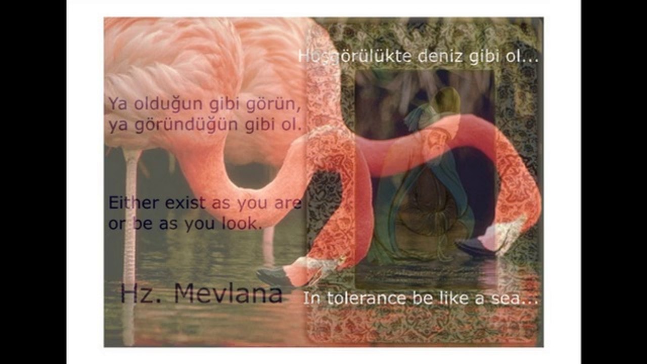 MEVLANA' NIN 7 ÖĞÜDÜ