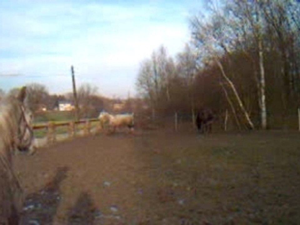 Photo 007