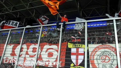 Cainii rosii la Petrolu-Dinamo 2-2