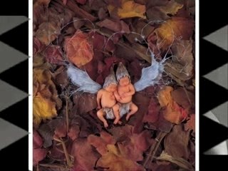Anne Geddes