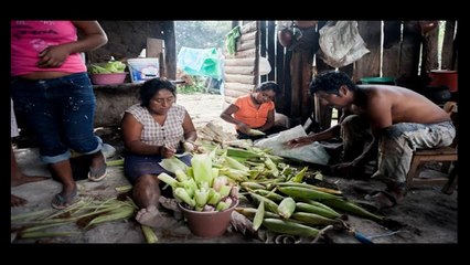 The Other Hundred Stories from Around The Americas