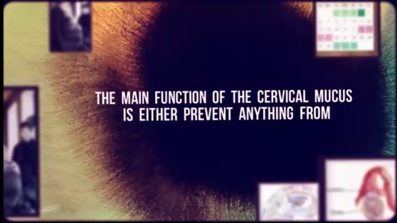 Ovulation Symptoms