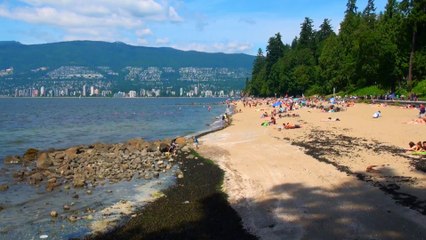 Between Beaches in Stanley Park.