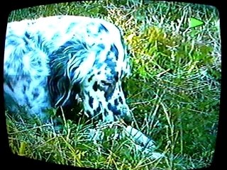 moi et Izo en cours :)