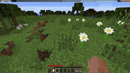 minecraft rehberi BÖLÜM 1 - İlk Gece