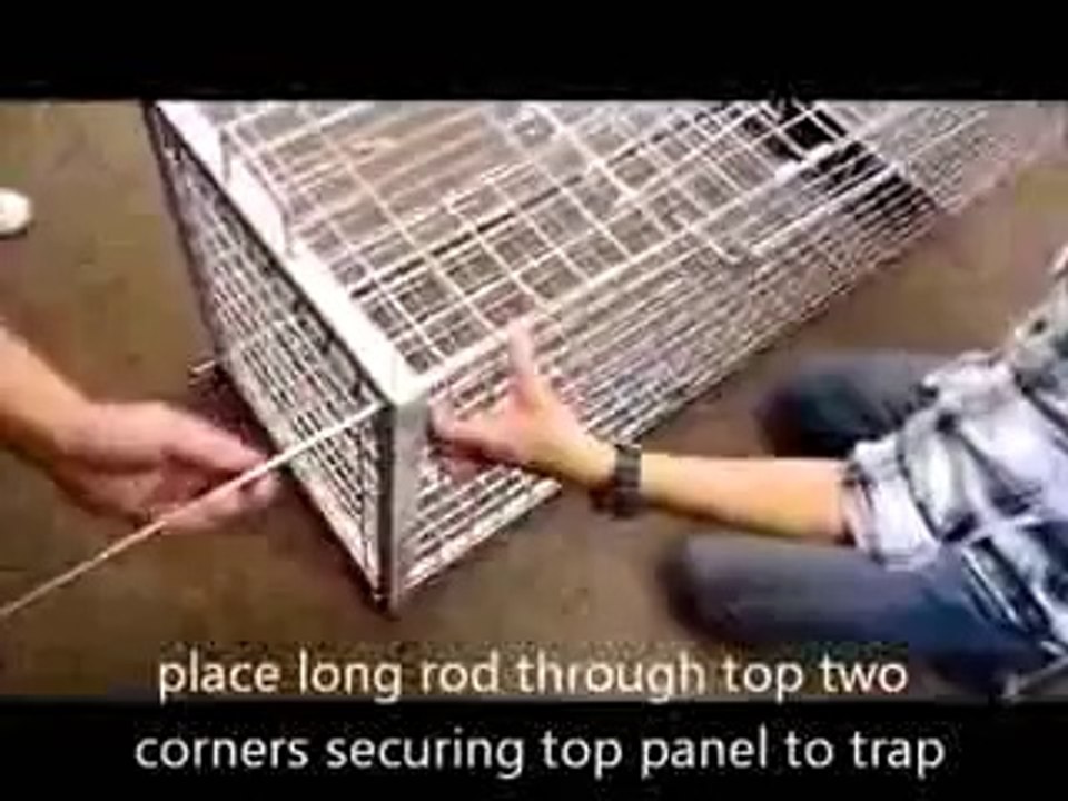 Heavy Duty X-Large Live Animal Trap