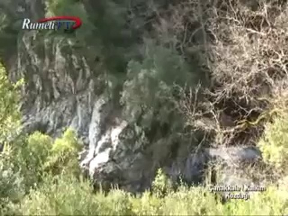 Ali Düzgün_GÜNÜZBEY