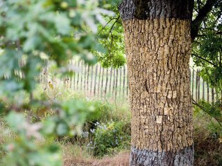 C'est @ Anglet Avril 2014