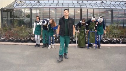 Wesh, j'assure en C.A.P.