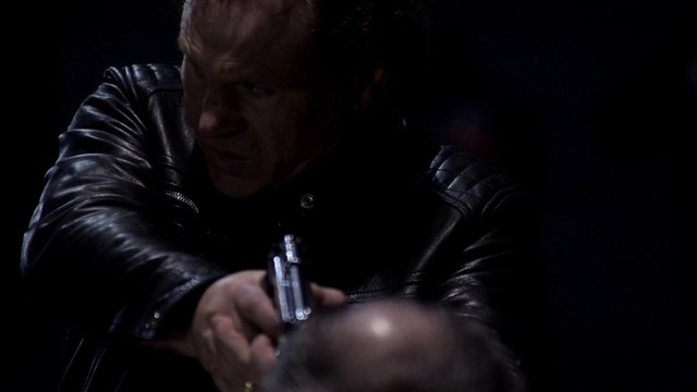 Vautour - Swift Guad