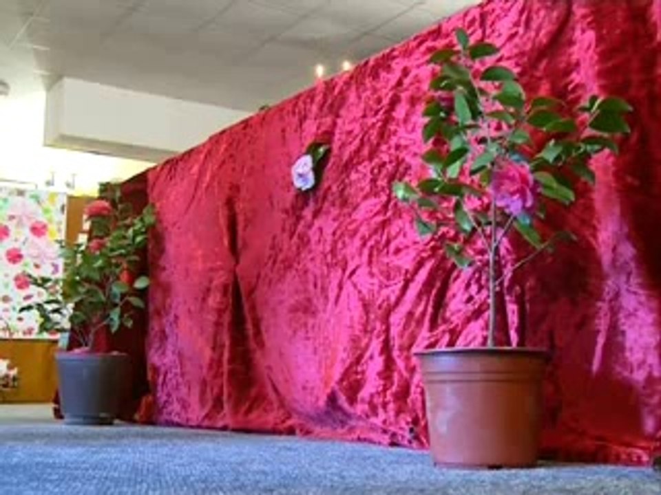 Zapis [Fešta kamelija] 29/3/2014 www.rtcg.me