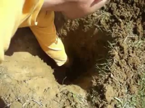 Adrenalin Dedektör 1tl 60cm Testi