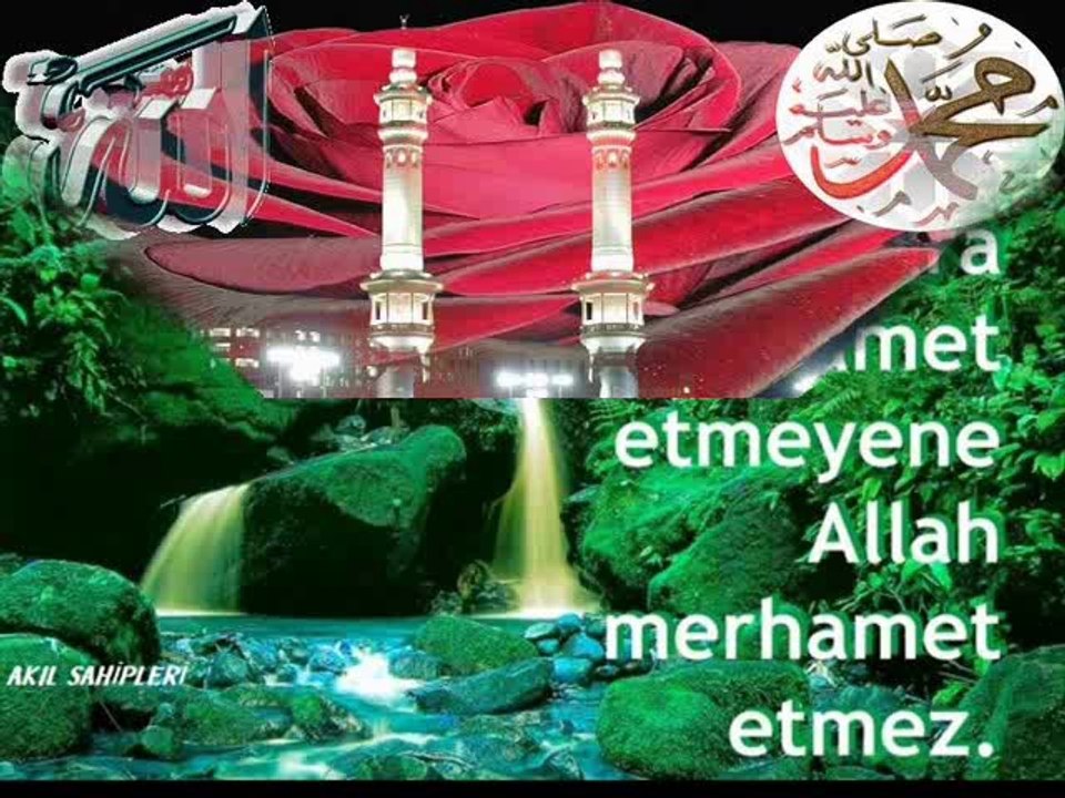 İŞTE .SA.V. SEVGİSİ