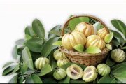 Looking To Lose Weight-Buy Garcinia Cambogia