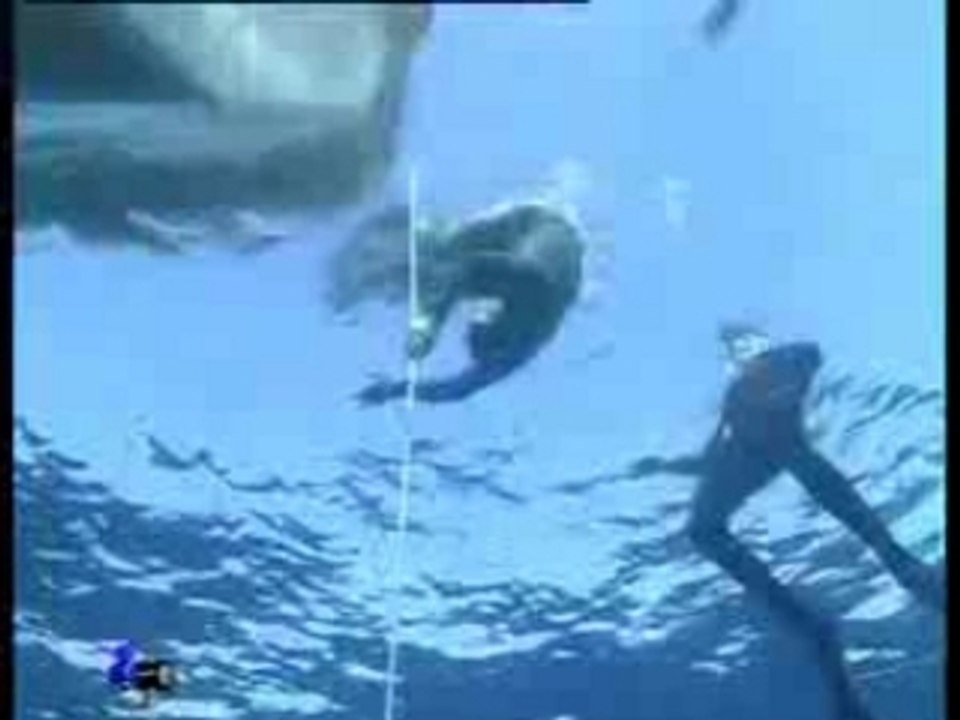 Immersion Libre - 64m Lescure