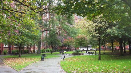 001 Enigma: The Code-Breaking Battle of 1939 🕵️‍♂️