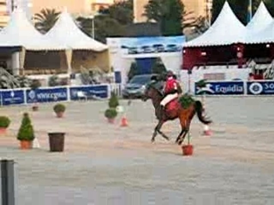 pony games du salon du cheval 2005