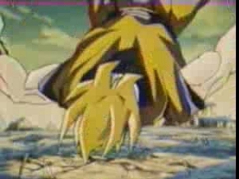 Goku Fight