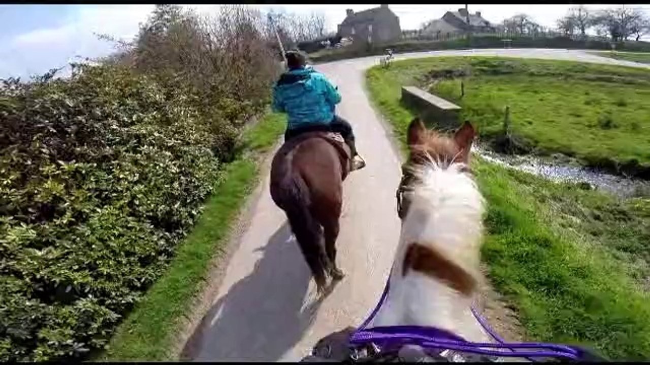 2nd ride on Spirit at Reinhill, passing a tractor and going thru a stream, the day I picked her up! 26 march