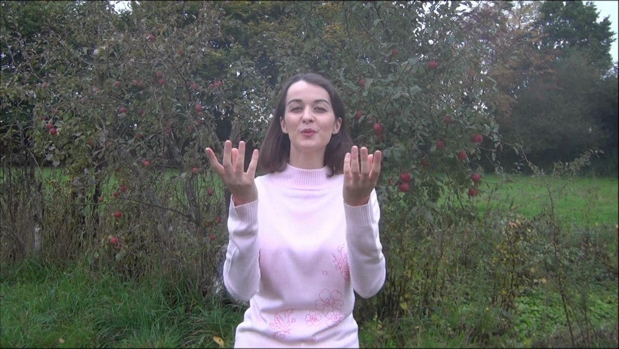 Ainsi font font font les petites marionettes 34sec