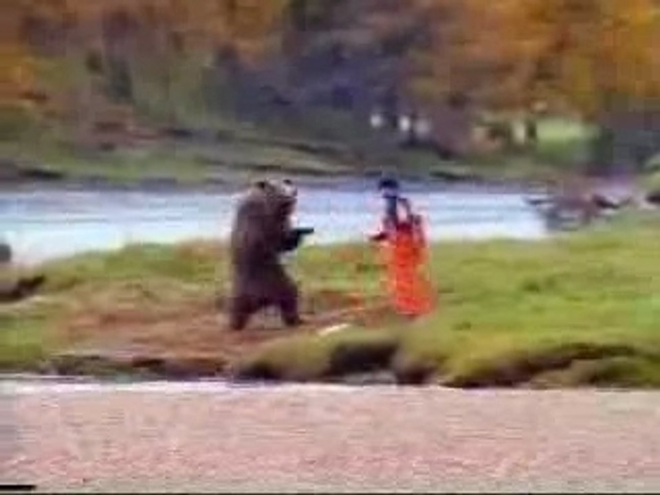 Kung-fu Bear