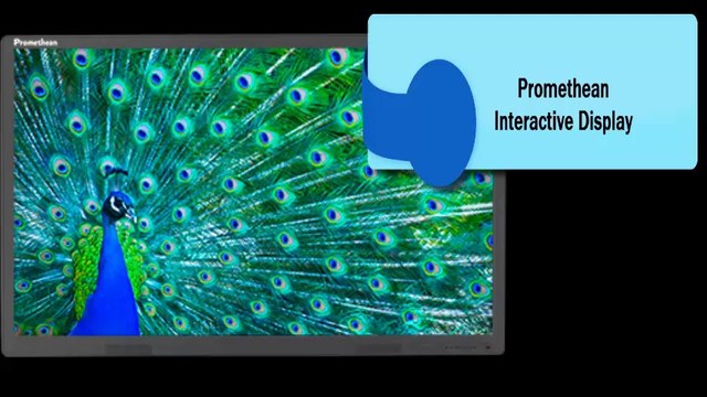 Interactive Whiteboard Review