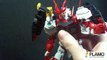 1/100 MG Sengoku Astray Gundam Review
