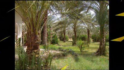 farm for sale in egypt مزرعة للبيع في مصر في بلبيس
